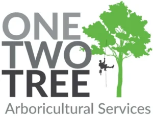 One Two Tree